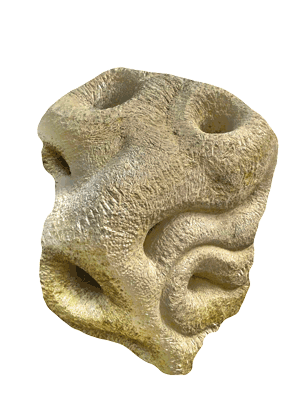 Bild "Offene Werkstatt:apollinisch-metamorph.png"
